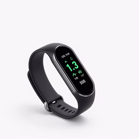 Fitness Bands